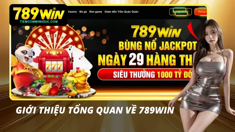 Tổng Quan Về Thương Hiệu Cá Cược 789Win